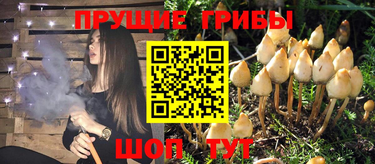 Псилоцибиновые грибы Psilocybe  Вход с VPN  Нягань  Галлюциногенные грибы Magic Shrooms 